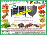 SECAGEM DE FRUTAS MÁQUINAS INDUSTRIAIS MACANUDA