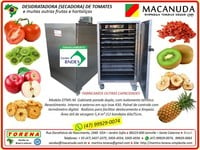 TOMATE SECO MÁQUINAS MACANUDA PARA FABRICAR