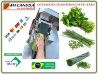 MÁQUINA INDUSTRIAL PRA CORTAR TEMPERO VERDE  