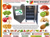 PRODUÇÃO DE TOMATE SECO, DESIDRATADORAS MACANUDA