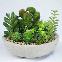 onsai de plantas suculentas artificiais realistas