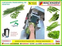 MÁQUINA ELÉTRICA PROFISSIONAL DE CORTAR TEMPERO VERDE MACANUDA