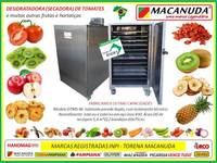 EQUIPAMENTO INDUSTRIAL PARA SECAR TOMATE GABINETE E BANDEJAS AÇO INOX