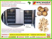 COGUMELOS DESIDRATADOS, MÁQUINA INDUSTRIAL MACANUDA