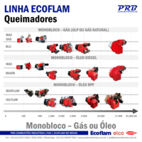 Queimadores Ecoflam