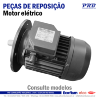 Peças para queimadores Ecoflam, Elco e Cuenod - MOTOR ELÉTRICO