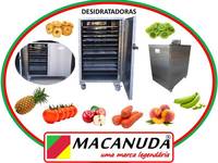 SECAGEM DE FRUTAS MÁQUINAS INDUSTRIAIS AÇO INOX MACANUDA