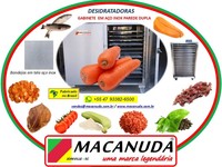 DESIDRATAÇÃO DE CENOURA, EQUIPAMENTO EM AÇO INOX MACANUDA