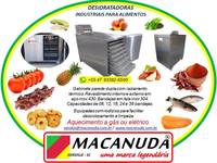 DESIDRATAÇÃO PROFISSIONAL DE FRUTAS E HORTALIÇAS MACANUDA 