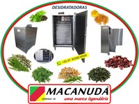 DESIDRATADOR ELÉTRICO PROFISSIONAL PARA ERVAS MEDICINAIS - MACANUDA