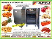 DESIDRATADORA INDUSTRIAL DE PÊSSEGO E OUTRAS FRUTAS - MACANUDA