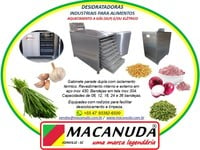 DESIDRATAÇÃO DE TEMPERO VERDE, EQUIPAMENTO PROFISSIONAL MACANUDA