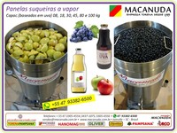 PANELA SUQUEIRA A VAPOR CAPACIDADE 80 KG DE UVA - MACANUDA