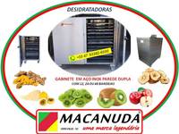 DESIDRATADORA INDUSTRIAL DE VEGETAIS E FRUTAS, VENDAS NO ABC PAULISTA