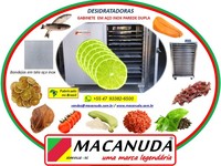 DESIDRATAÇÃO DE LIMÃO, EQUIPAMENTOS AÇO INOX MACANUDA