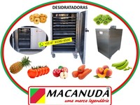 DESIDRATAÇÃO PROFISSIONAL DE FRUTAS E HORTALIÇAS, GABINETE INOX 