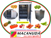 DESIDRATADOR DE FRUTAS INDUSTRIAL GABINETE PAREDE DUPLA INOX