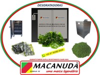 DESIDRATADOR INDUSTRIAL COM 21,6 M² DE ÁREA DE SECAGEM, MACANUDA