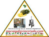 MACANUDA, A MARCA DA MÁQUINA! DESCASCADORA DE ABACAXI EM SORRISO MT