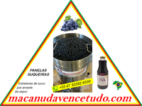 MARCA MACANUDA! EXTRATORAS DE SUCO VENDAS EM FLORES DA CUNHA RS