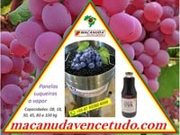 MACANUDA EXTRATORA DE SUCO A VAPOR CAPACIDADE 100,0 KG DE UVA