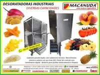 SECAR ABÓBORA, DESIDRATADORAS INDUSTRIAIS AÇO INOX MACANUDA SECAR ABÓBORA, DESIDRATADORAS INDUSTRIAIS AÇO INOX MACANUDA