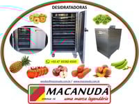 DESIDRATAR FRUTAS EM SÃO PAULO, EQUIPAMENTOS INDUSTRIAIS MACANUDA
