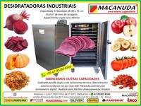BETERRABA DESIDRATADA, EQUIPAMENTOS INDUSTRIAIS MACANUDA BETERRABA DESIDRATADA, EQUIPAMENTOS INDUSTRIAIS MACANUDA
