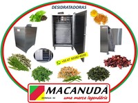 DESIDRATAR CONDIMENTOS MÁQUINAS INDUSTRIAIS INOX MACANUDA
