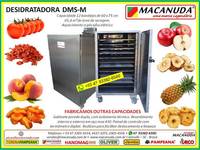 EQUIPAMENTO INDUSTRIAL PARA SECAR TOMATE GABINETE E BANDEJAS AÇO INOX