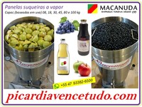 AGRICULTURA FAMILIAR MÁQUINAS MACANUDA PARA SUCOS DE FRUTAS