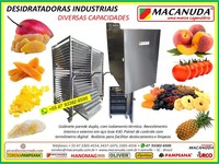 MÁQUINA INOX INDUSTRIAL DE DESIDRATAR MANGA E OUTRAS FRUTAS