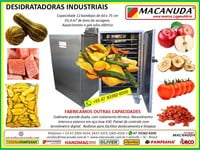  MÁQUINA DE SECAGEM DE FRUTAS INDUSTRIAL MACANUDA