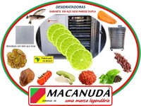 EQUIPAMENTO INDUSTRIAL PARA DESIDRATAR LIMÃO, FABRICAÇÃO MACANUDA